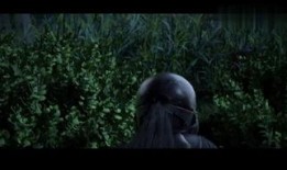 在线观看领域,探索在线观看的无限魅力