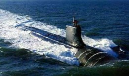 德国爆料海狼视频大全集,震撼视频大全集深度解析